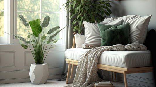 Do Indoor Plants Purify the Air?