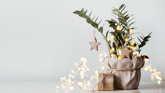 A Houseplant Holiday: 20 Ideas for Holiday Decorating with House Plants