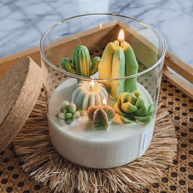 Grow Happy Gifts  Terrarium Candle