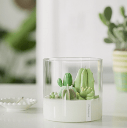 Grow Happy Gifts  Terrarium Candle