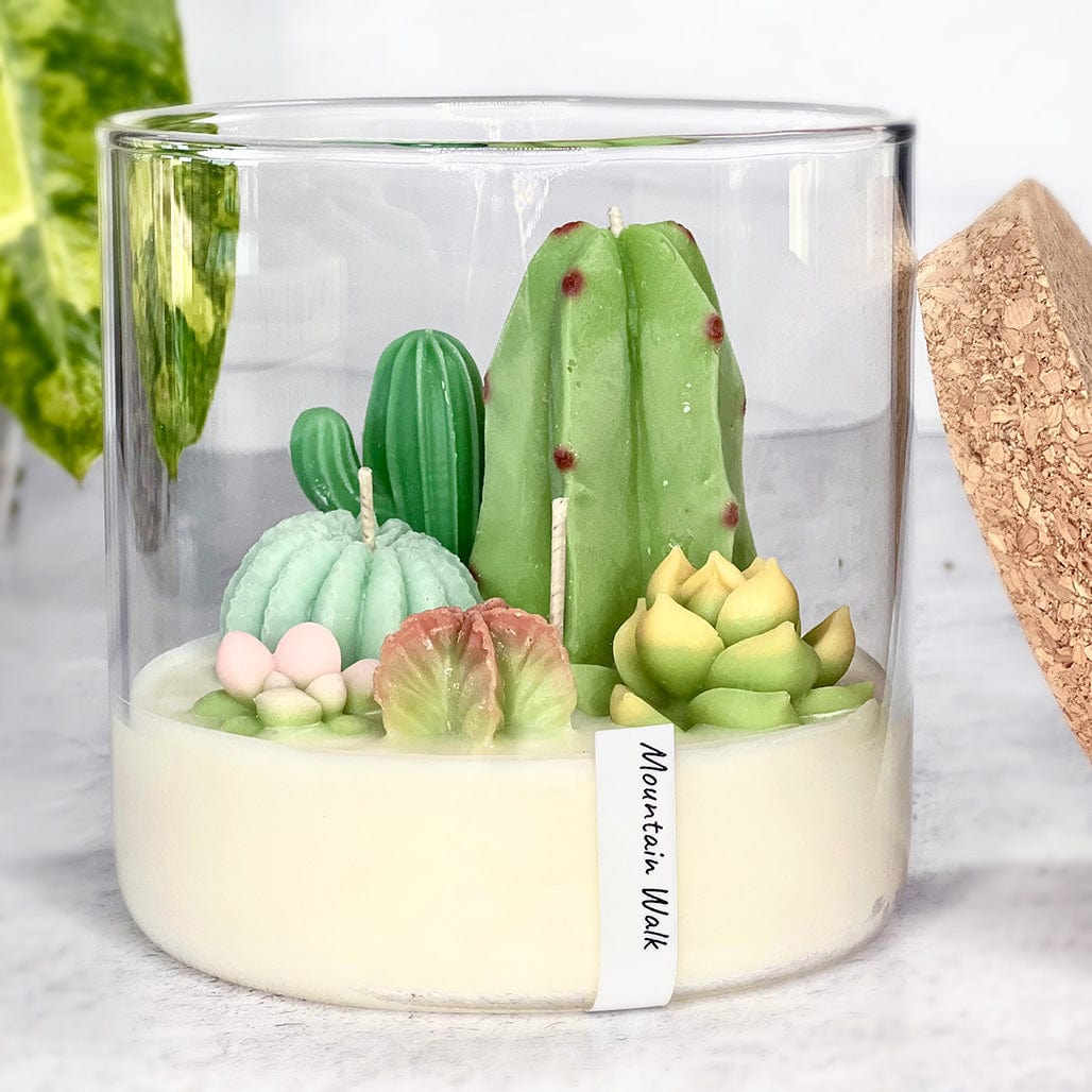 Grow Happy Gifts  Terrarium Candle